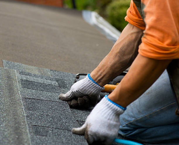 Best Roof Gutter Cleaning  in Como, WI